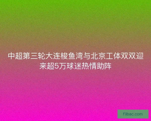 中超第三轮大连梭鱼湾与北京工体双双迎来超5万球迷热情助阵